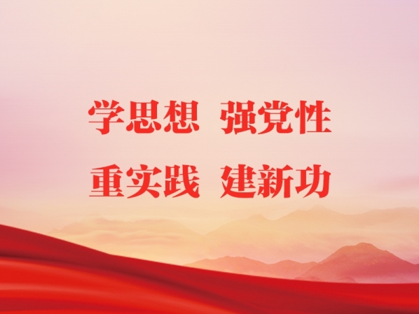 專題｜學(xué)思想 強黨性 重實踐 建新功