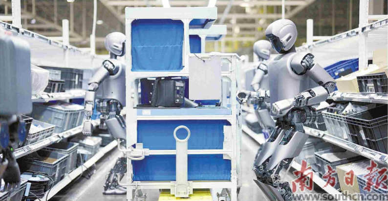 優(yōu)必選工業(yè)人形機(jī)器人在工廠開展協(xié)同實(shí)訓(xùn)。 南方日?qǐng)?bào)記者 朱洪波 通訊員 羅艷 攝